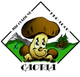 Pro Loco di Caoria